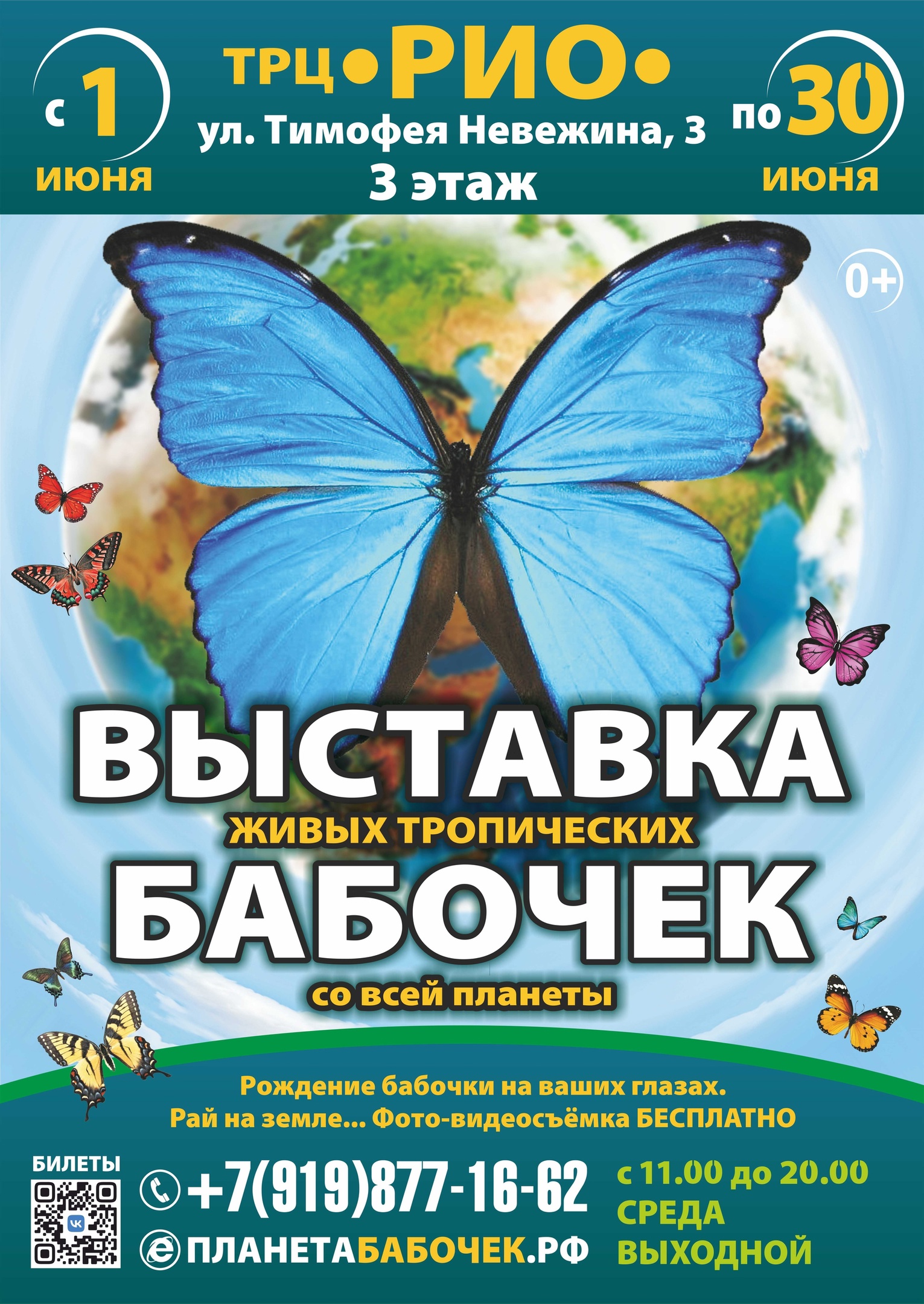 Выставки в Кургане - расписание выставок в городе Курган - афиша курган  выставки