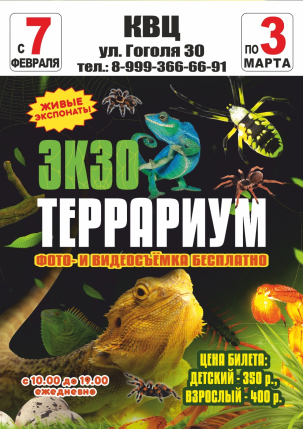 мероприятие Выставка живых пауков-гигантов «Экзотеррариум» курган афиша расписание